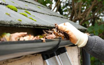 gutter cleaning Thornfalcon, Somerset