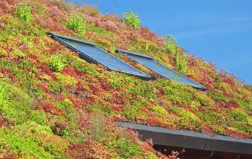 Thornfalcon living roof systems