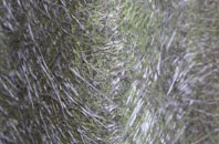 Thornfalcon fibreglass roof work